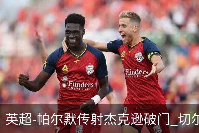 英超-帕尔默传射杰克逊破门 切尔西3-2纽卡斯尔